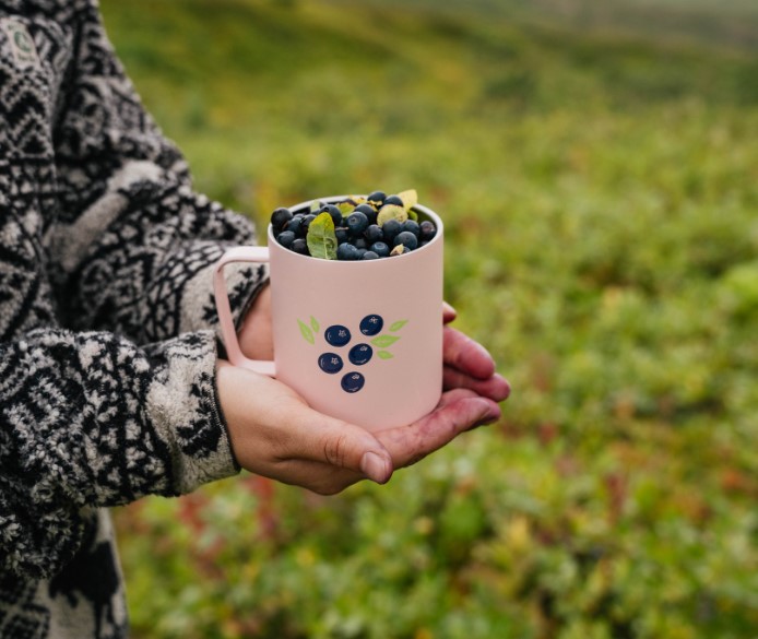 Cruisin’ for Caffeine: Your Guide to Popular Drive-Thru Coffee in Alaska